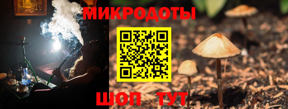 Галлюциногенные грибы Psilocybine cubensis Фролово